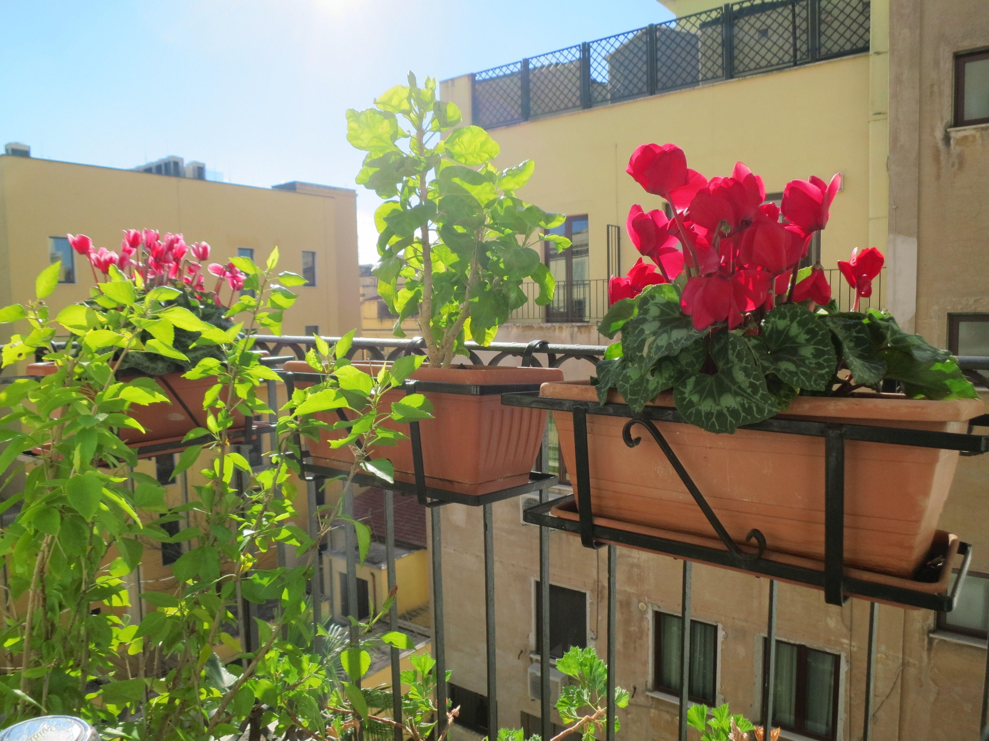 Hotel Katty — Foto 2